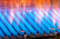 Prestonfield gas fired boilers